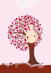 Profilfoto  Geburtshaus Regensburg GmbH