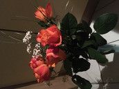 Profilfoto  Juliestone