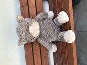 Profilfoto  Muffin12