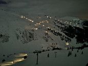 Profilfoto  BumblebeesBaby