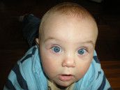 Profilfoto  Javihase