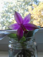 Profilfoto  Leonie0687