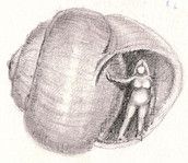 Profilfoto Heike Riefler