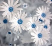 Profilfoto  lisi2015