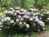 Profilfoto  MrsMarin