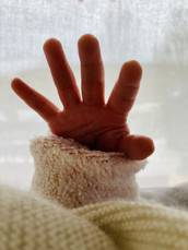 Profilfoto  Bloomy79