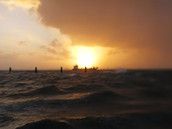 Profilfoto  Hope_2018