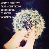 Profilfoto  Tulpe2015