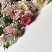 Profilfoto  mybabyloveacc