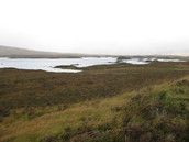 Profilfoto  Julisonne25