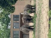 Profilfoto  Eveepevee