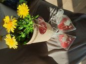 Profilfoto  suesserengel