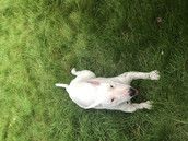 Profilfoto  Cathy_0911