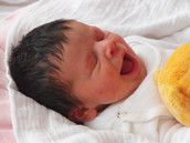 Profilfoto  Hobbelina