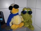 Profilfoto  crossflights