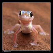 Profilfoto  Wilhelmine95