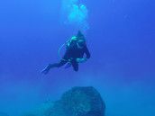 Profilfoto  Maimunia