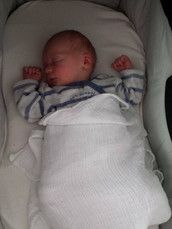 Profilfoto  Theodora2014