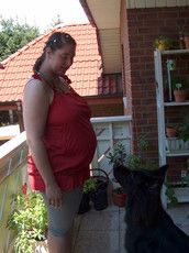 Profilfoto  schokodrache