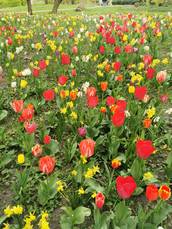 Profilfoto  MimiGretchen123