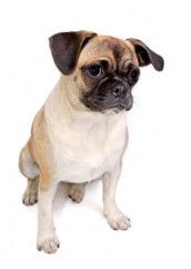 Profilfoto  schnuffi2608