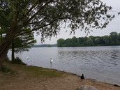 Profilfoto  Sonnenschein50