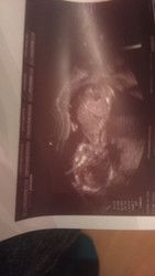 Profilfoto  XxMahonexX