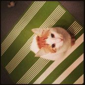 Profilfoto  Emmyluca