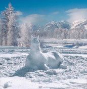 Profilfoto  Rosella84