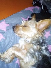 Profilfoto  2018Juni