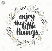 Profilfoto  ZoeBoogie