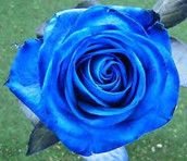 Profilfoto  nicknameno