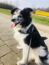 Profilfoto  Franzi1992