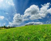 Profilfoto  lilian1751