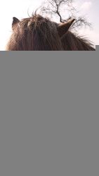 Profilfoto  Pourin_Rain