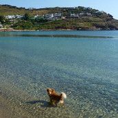 Profilfoto  Diana-Dario