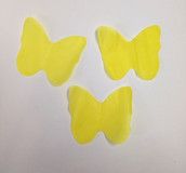 Profilfoto  Nordlicht2018