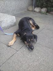 Profilfoto  Feenglanz24