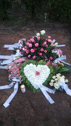 Profilfoto  Fiona2015