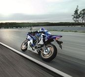 Profilfoto  dietmarpapa