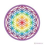 Profilfoto  mumsontour