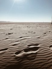 Profilfoto  Jassel8817