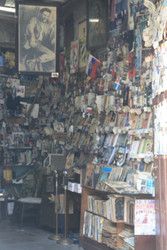 Profilfoto  StundenblumeWiese