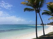 Profilfoto  Optigrisu