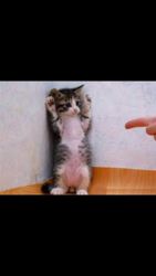 Profilfoto  Irina555