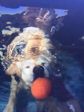 Profilfoto  daskleinechaos