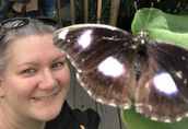 Profilfoto  Butterfly166