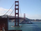 Profilfoto  brownbear84