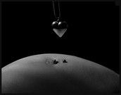 Profilfoto  Fotograf