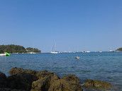 Profilfoto  sonnenschein1702